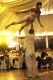 Nouveau Cirque 2010^#^^#^
