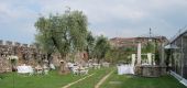 La zona degli ulivi nel Quartiere principale^#^^#^