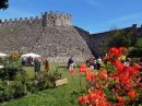 FIORI NELLA ROCCA. Mostra mercato di piante rare