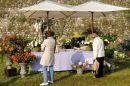 Edizione 2010^#^^#^