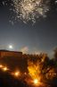 Lo spettacolo di fuochi d'artificio (edizione 2008)